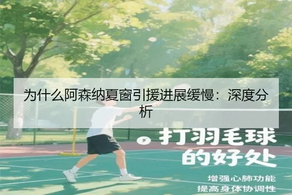 为什么阿森纳夏窗引援进展缓慢:深度分析